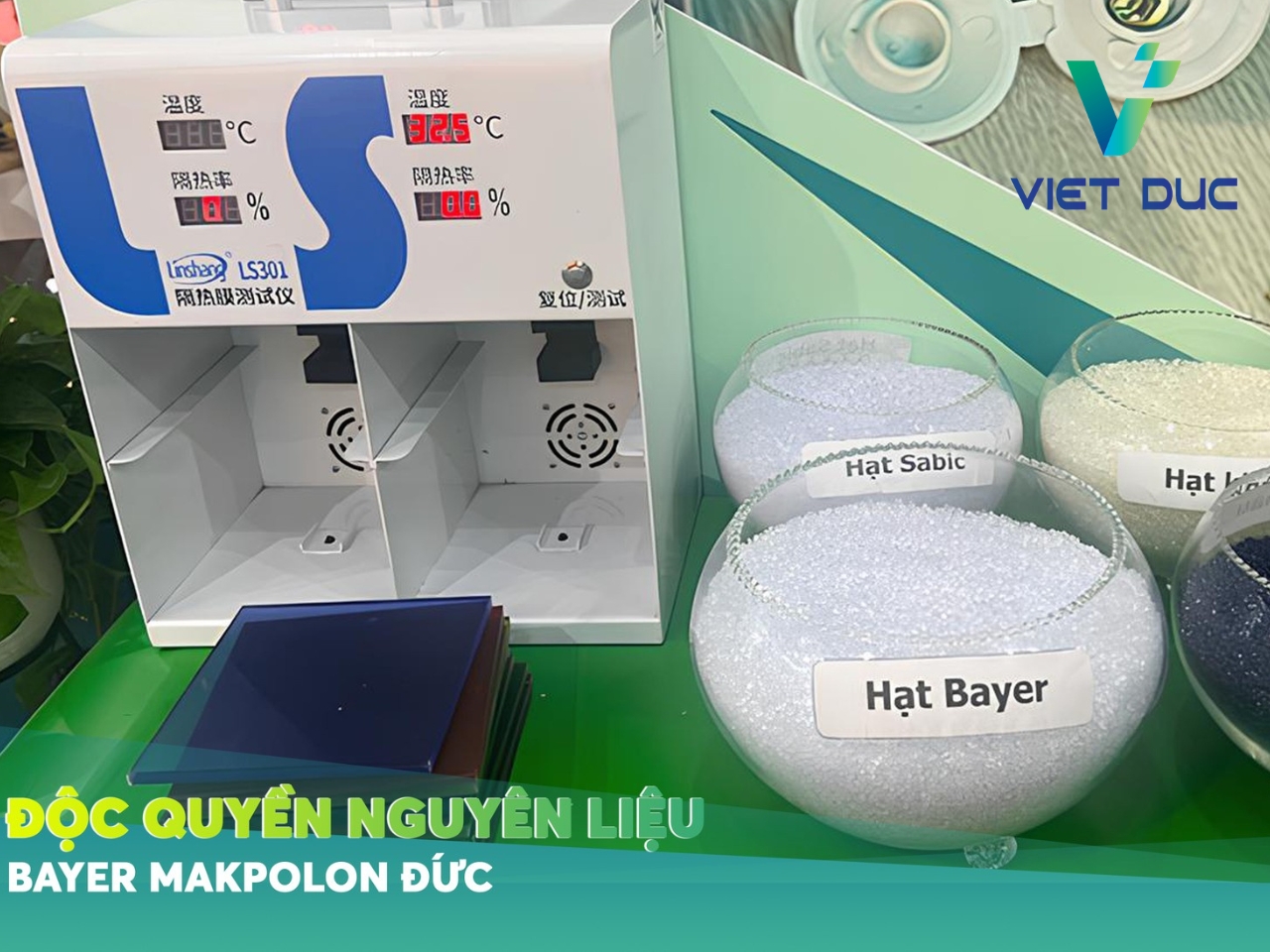 Hạt BAYER chất lượng