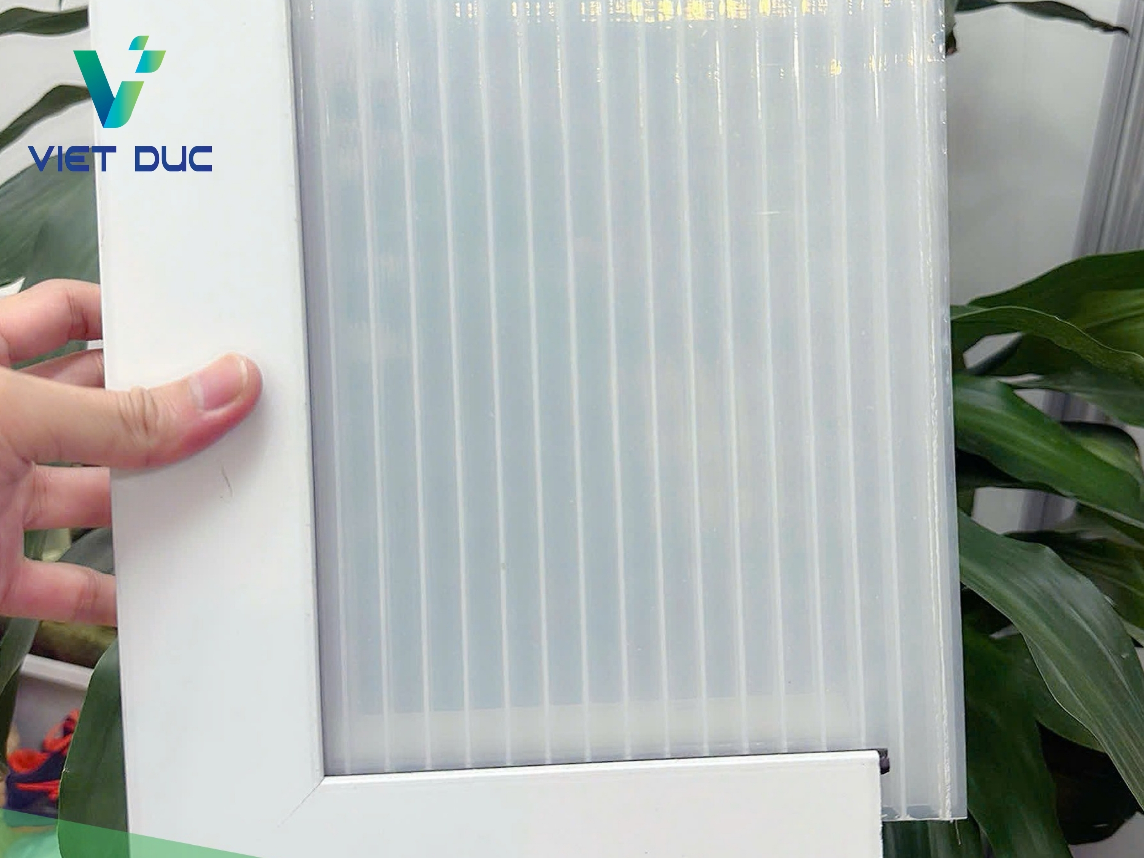 Tấm Polycarbonate rỗng Việt Đức