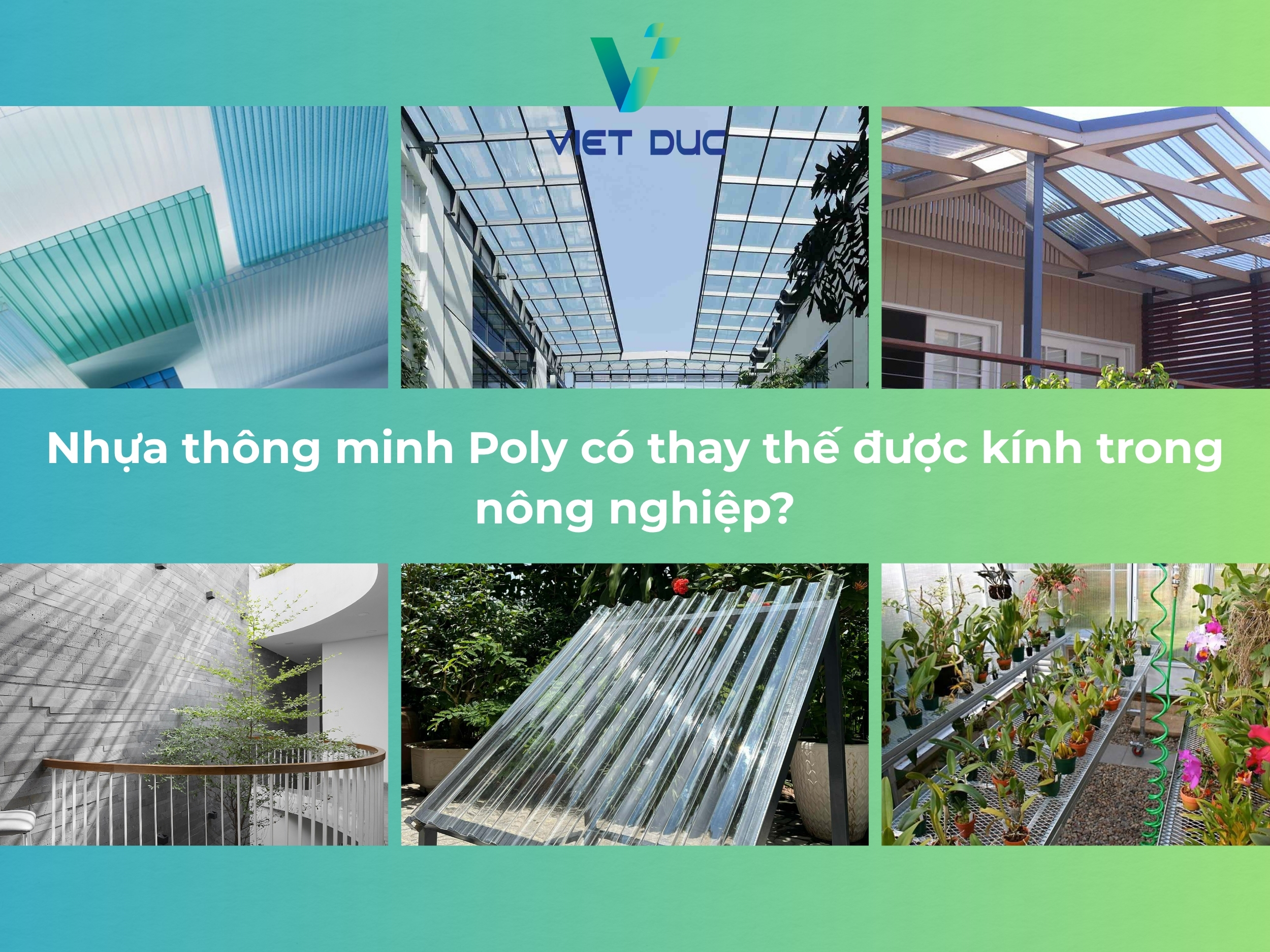 Nhựa thông minh Poly có thay thế được kính trong nông nghiệp?